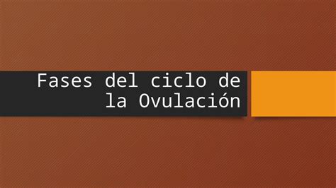 Pptx Fases Del Ciclo De La Ovulaci N Dokumen Tips Hot Sex Picture