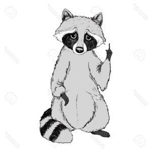 Cute Raccoon Drawing at PaintingValley.com | Explore collection of Cute ...