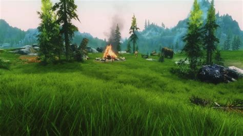 My Grass Mod Test 3 At Skyrim Nexus Mods And Community