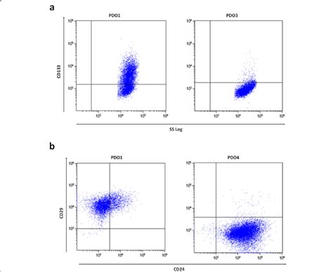 Flow Cytometry Analysis Flow Cytometry Analysis Of Cd133 Surface