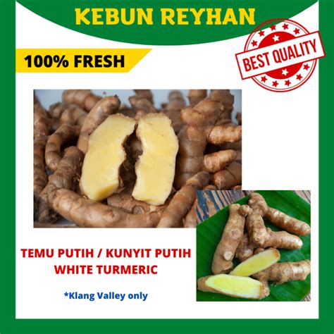 PRE ORDER 100 Fresh Organic 250g White Turmeric Temu Putih