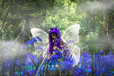 The Fairy Queen Gathering Bluebells For Her Bower Photography By