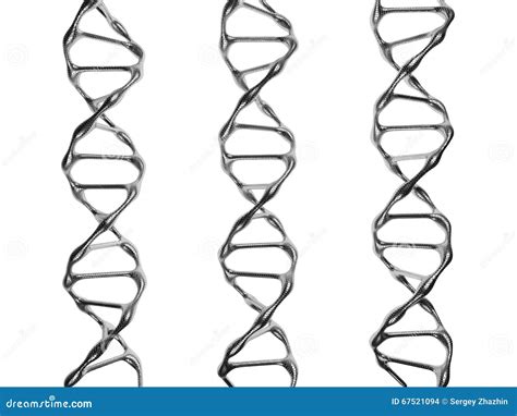 Drei DNA Spiralen Auf Einem Weißen Hintergrund Stock Abbildung