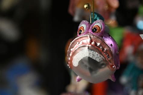 Pink Fisch With Big Eyes Pinker Fisch Mit Gro En Augen Bau Flickr