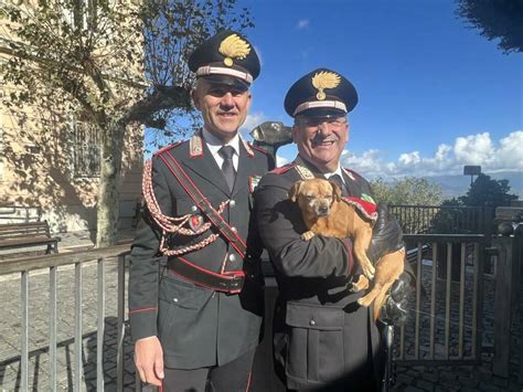 Monte Porzio Ha Celebrato Il Novembre Con Un Concerto Della Fanfara