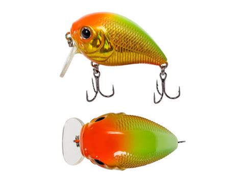 Drop 40 F - Rolans