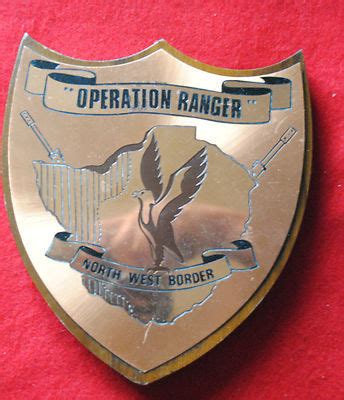 RHODESIAN MILITARY CAMPAIGN INSIGNIA ON MOUNTED COPPER SHIELD OPERATION ...