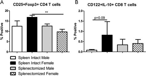 Splenectomy Reduces Infarct Volume And Neuroinflammation In Male But