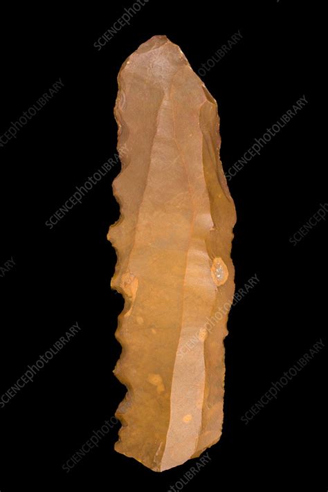 Neolithic Period Serrated Flint Knife Stock Image C0569909