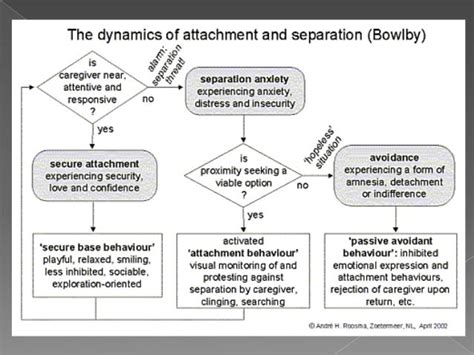 Bowlbys Attachment Theory