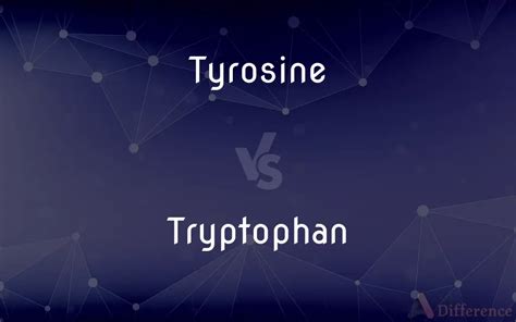 Tyrosine Vs Tryptophan — Whats The Difference