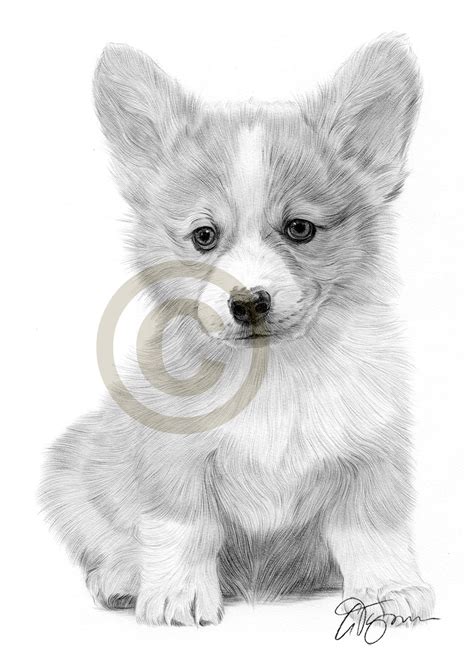 Realistic Puppy Drawing at PaintingValley.com | Explore collection of ...