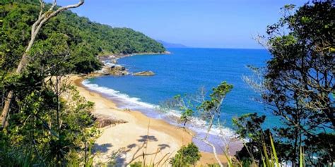 Praia Martim De S Caraguatatuba Guia Completo Naturam