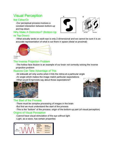 Psyc 201 Lecture 13 14 Visual Perception 2 Visual Perception Not