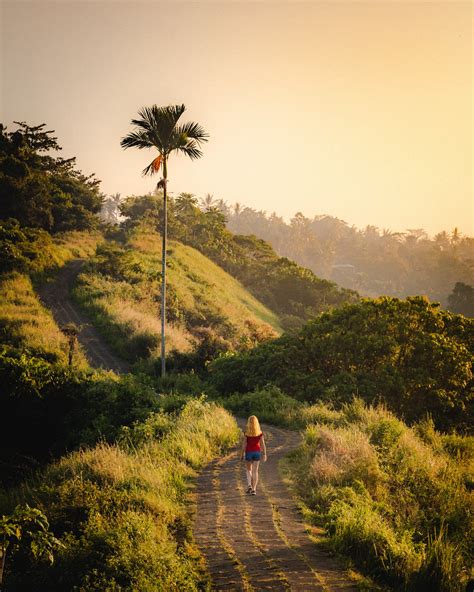 12 Amazing Things To Do In Ubud Bali Walk My World