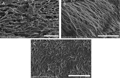 Sem Images Of Lyophilised Hydrogels Obtained From Pll Bplt A