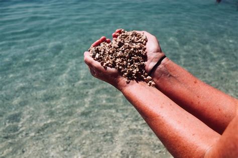 Premium Photo Cropped Hand Holding Stones At Beach