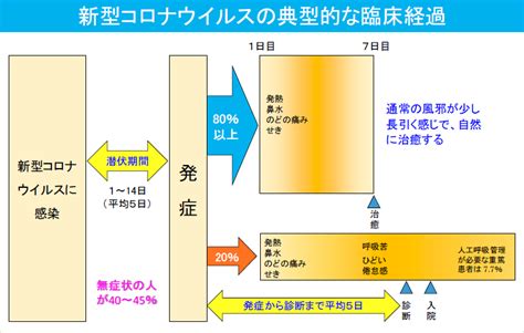 新型コロナウイルス感染症とは 臼杵市役所