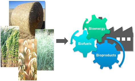 Frontiers Editorial New Insights Into The Valorization Of