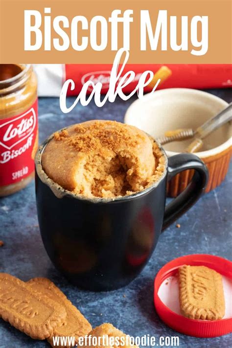 Best Ever Biscoff Mug Cake Recipe Effortless Foodie