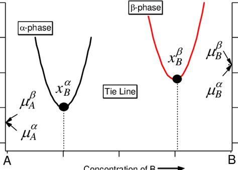 Free Energy Of A α Phase And β Phase And The Common Tangent Download Scientific Diagram