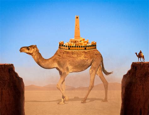 Oc Camel City Rphotomanipulation