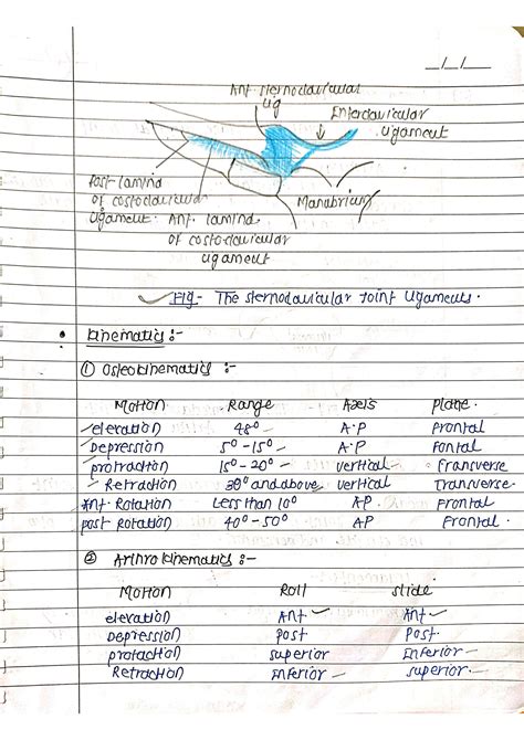 Solution Biomechanics Of Shoulder Joint Nd Year Bpth Studypool