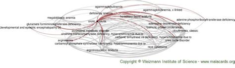 Orotic Aciduria disease: Malacards - Research Articles, Drugs, Genes ...