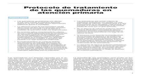 Protocolo De Tratamiento De Las Quemaduras En Atención Primaria Pdf