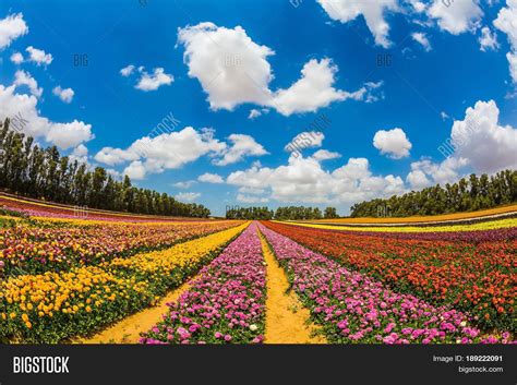 Farm Field Beautiful Image & Photo (Free Trial) | Bigstock