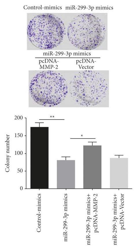 Mir 299 3p Inhibits The Migration And Proliferation Of Nasopharyngeal