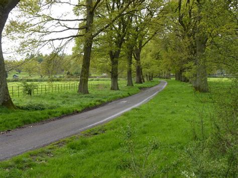 Avenue Towards Brampton Bryan Park Jeff Gogarty Cc By Sa