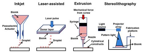 D Bioprinting Definition Principle Process Types Applications