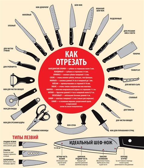 Инфографика. Кухонные ножи. Типы ножей Cooking For A Group, New Cooking ...