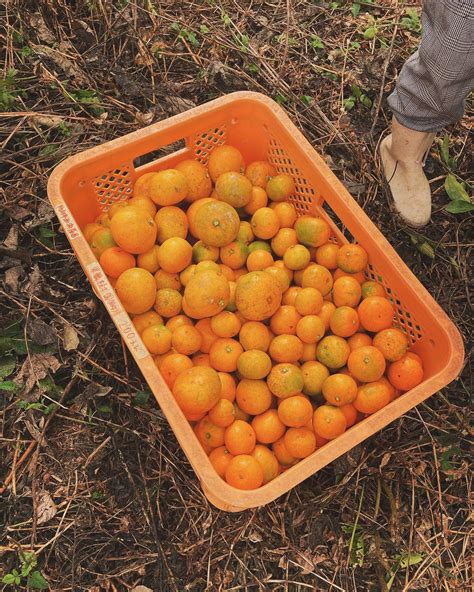 Yumi Aoki (@yumi.aoki.129) • Instagram photos and videos