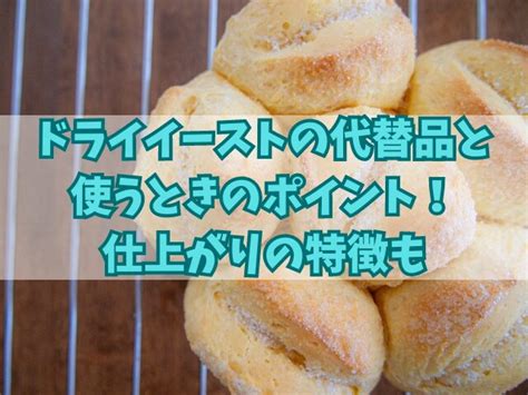 ドライイーストの最適な代替品と使うときのポイント！仕上がりの特徴も はなりっち