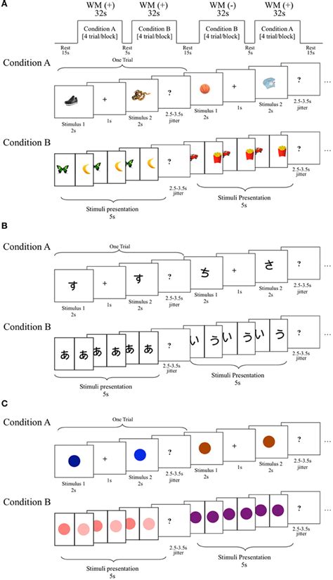 Schematic Diagram Of The Functional Magnetic Resonance Imaging Fmri Download Scientific