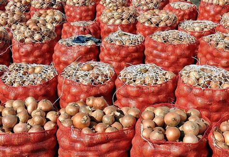 Turkmen Company Ships Tons Of Onions To Kazakhstan Made In