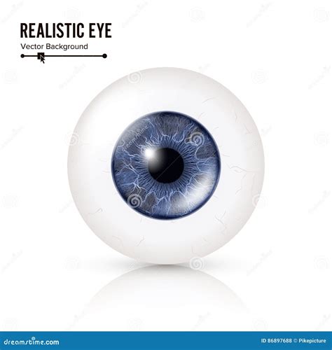 Realistic Human Eyeball 3d Glossy Photorealistic Eye Detail With