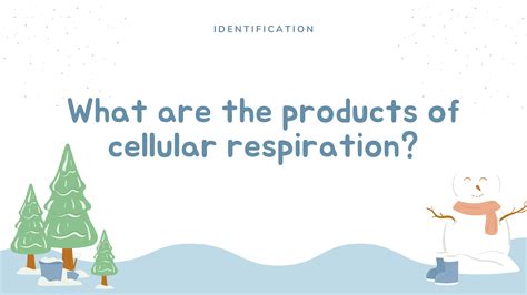 Photosynthesis And Cellular Respiration Baamboozle Baamboozle The