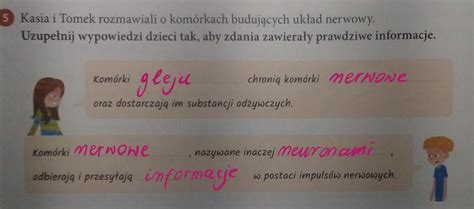 Kasia i Tomek rozmawiali o komórkach budujących układ nerwowy Brainly pl