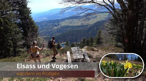 Vogesen und Elsass wandern im Frühjahr 4K YouTube