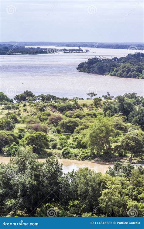 Rio De Limpopo No Parque Nacional De Mapungubwe África Do Sul Foto de