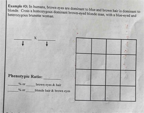 Example #3: In humans, brown eyes are dominant to blue and brown hair ...