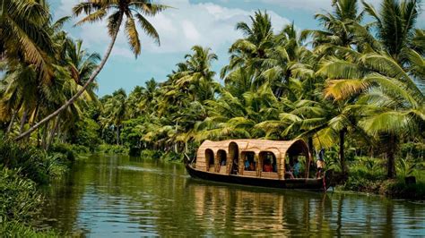 Ecotourism in India: discover the top 3 destinations