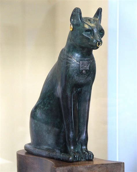 Cat domestication originated in ancient Egypt, new studies reveal