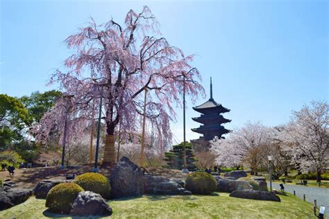 Toji Temple