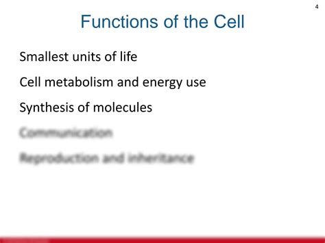 Solution Cell Structure And Functions Studypool