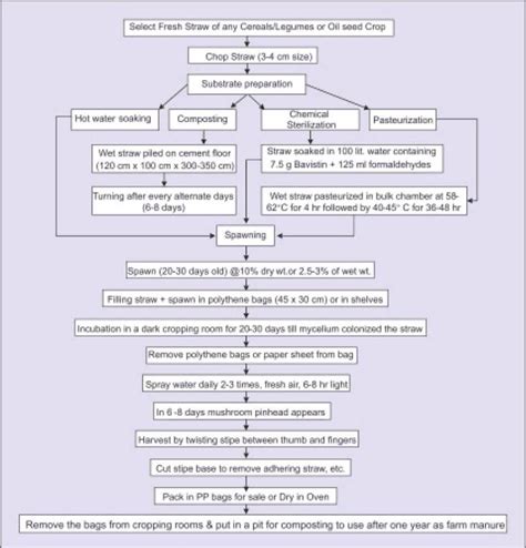 A Flow Chart On Mushroom Cultivation Mushroom Cultivation Stuffed