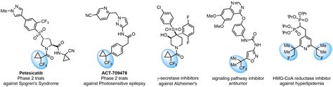 Bioisosteres Of Tert Butyl Group Enamine